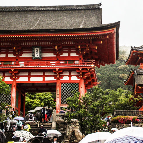 kimono _rental_mimosa