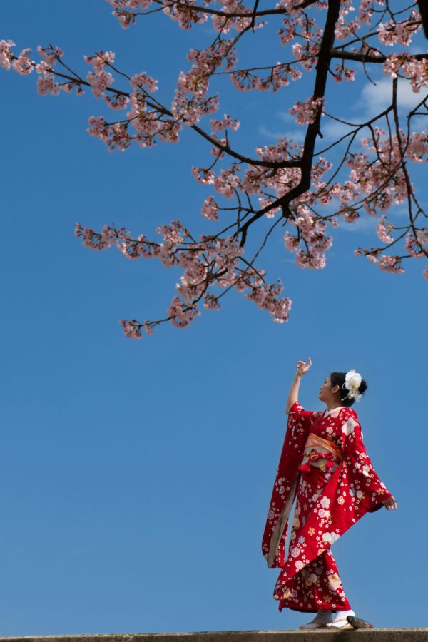 Beautiful Asian woman wearing vibrant traditional Japanese kimono surrounded by delicate cherry blossoms in spring at a serene Kyoto temple, perfectly capturing the poetic harmony between traditional dress and seasonal nature