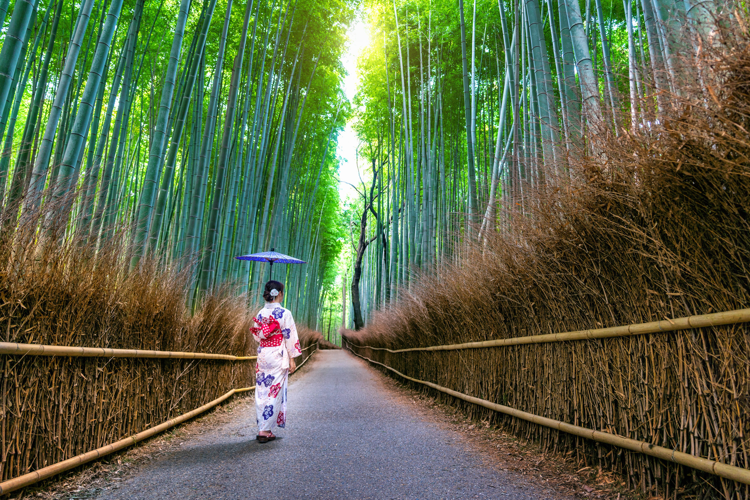 Two women in colorful traditional kimonos walking through the famous Arashiyama bamboo grove in Kyoto, surrounded by towering green bamboo stalks creating a magical natural tunnel