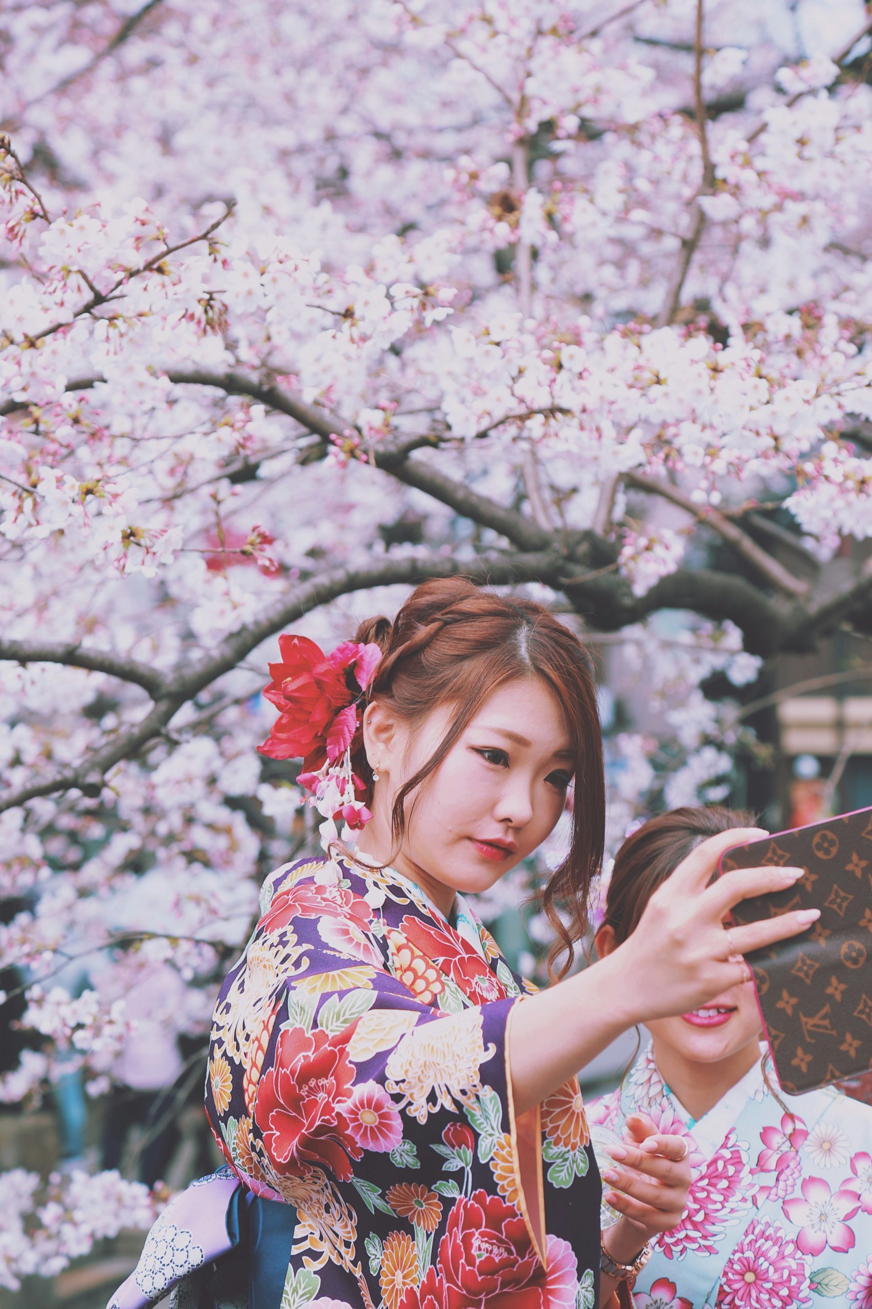 Complete kimono rental experience in Kyoto showing professional dressing service with authentic Japanese traditional clothing and cultural immersion for tourists and locals