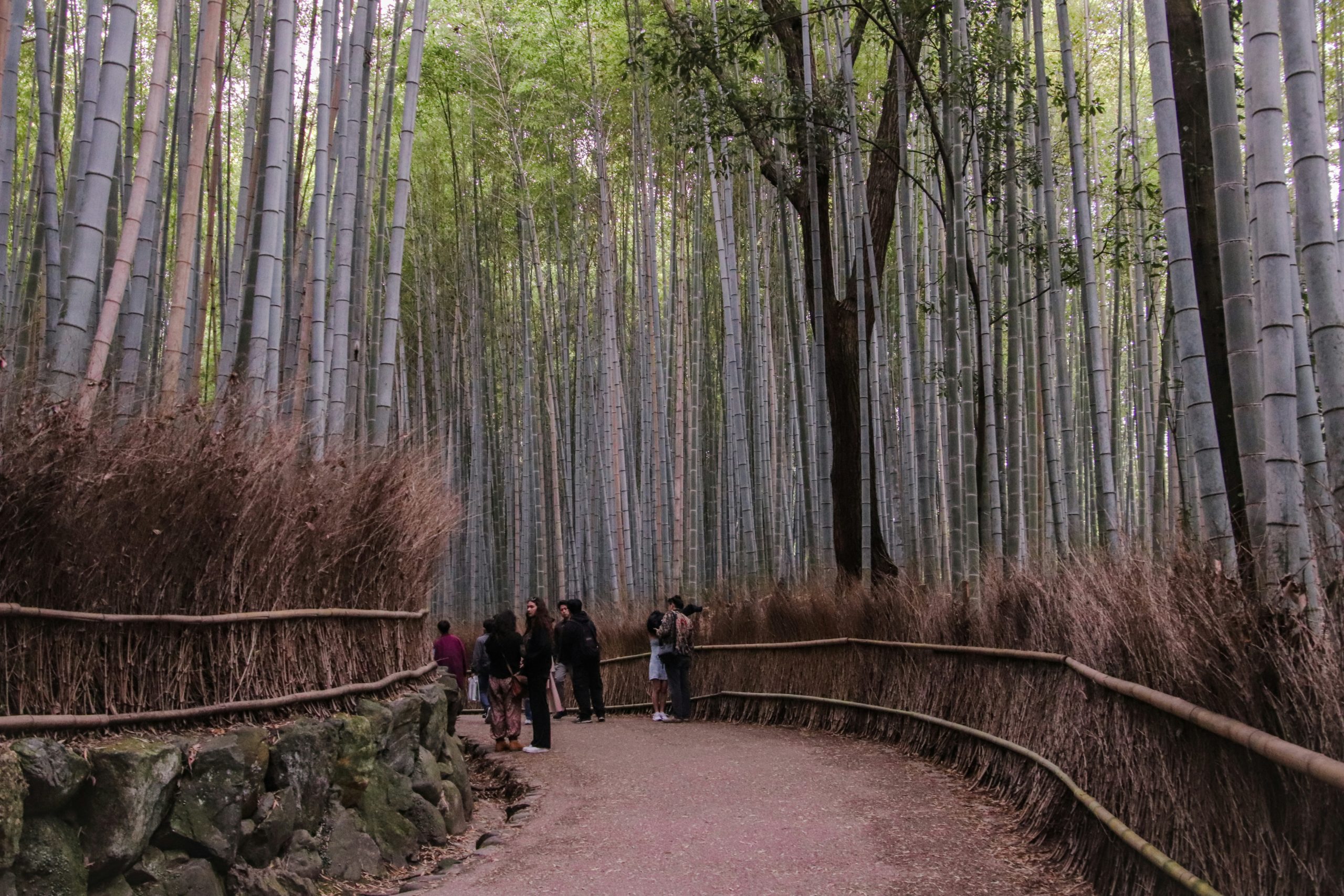 Scenic view of Togetsukyo Bridge in Arashiyama district with visitors in traditional kimono enjoying leisurely stroll along Katsura River, showcasing iconic Kyoto landmarks perfect for photography