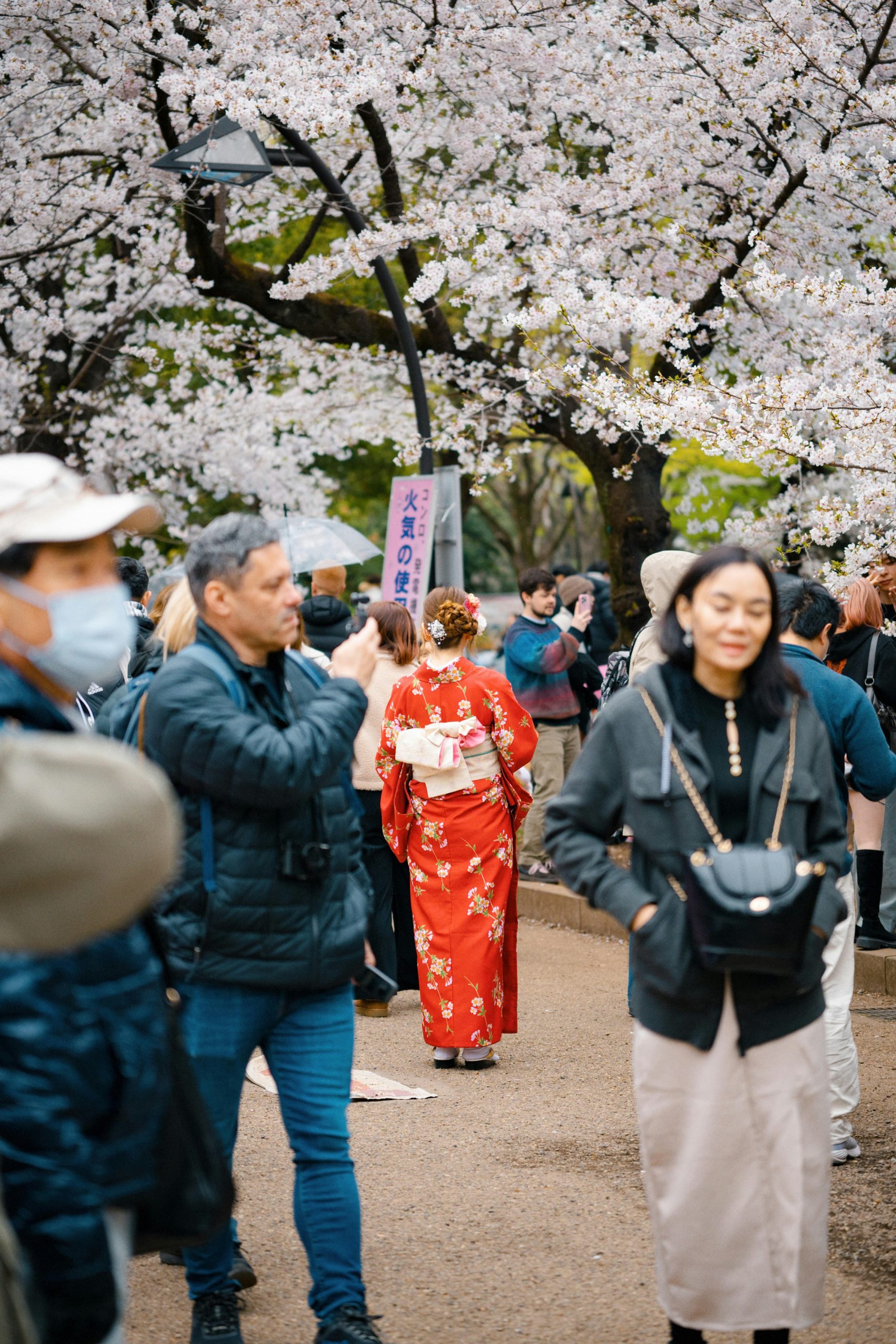 Traditional Japanese woman wearing an elegant kimono representing Japan's cultural heritage and national treasure status