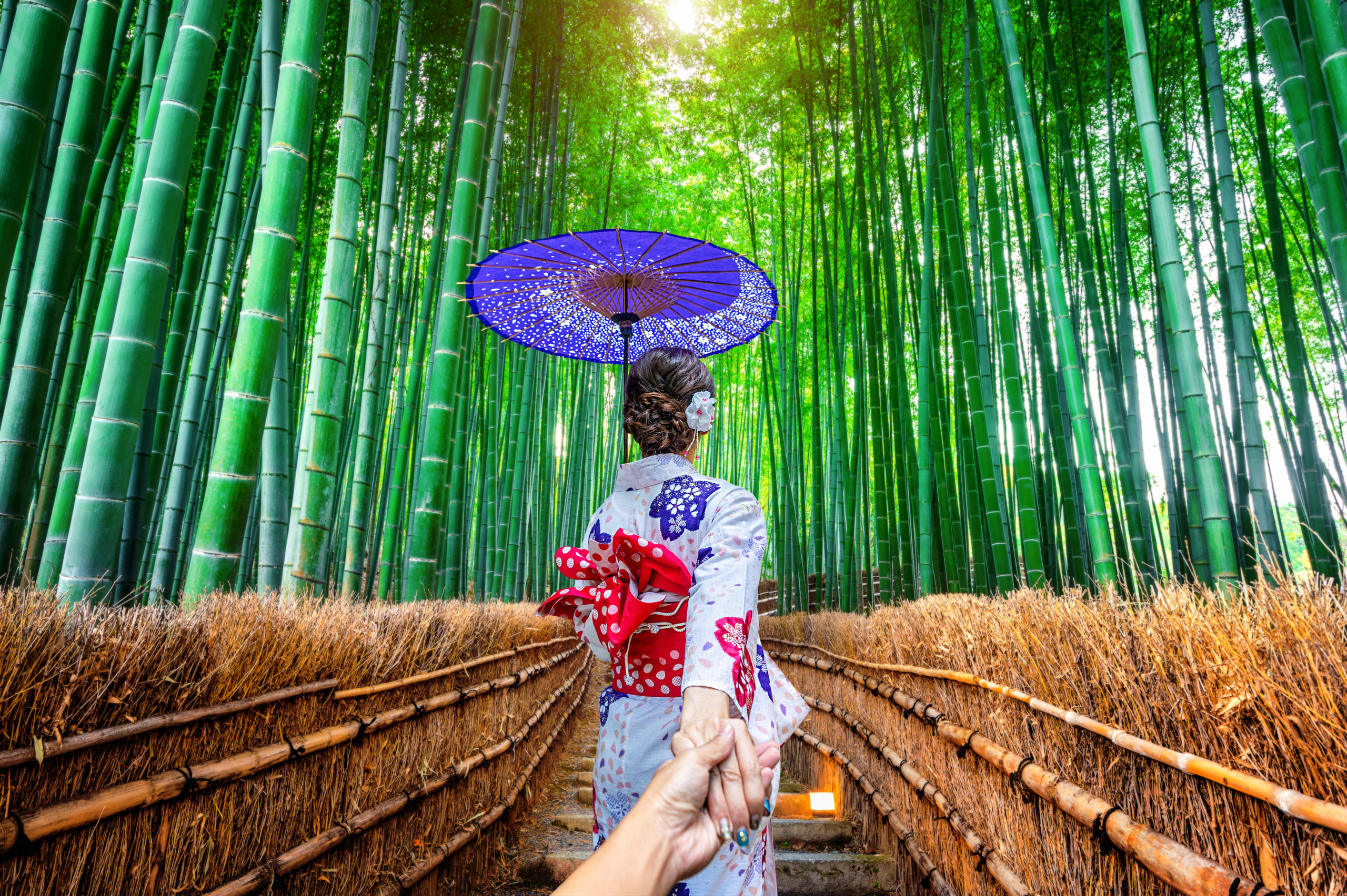 Professional kimono photoshoot session in Arashiyama bamboo grove with photographer capturing elegant poses of women in traditional Japanese dress among towering bamboo stalks
