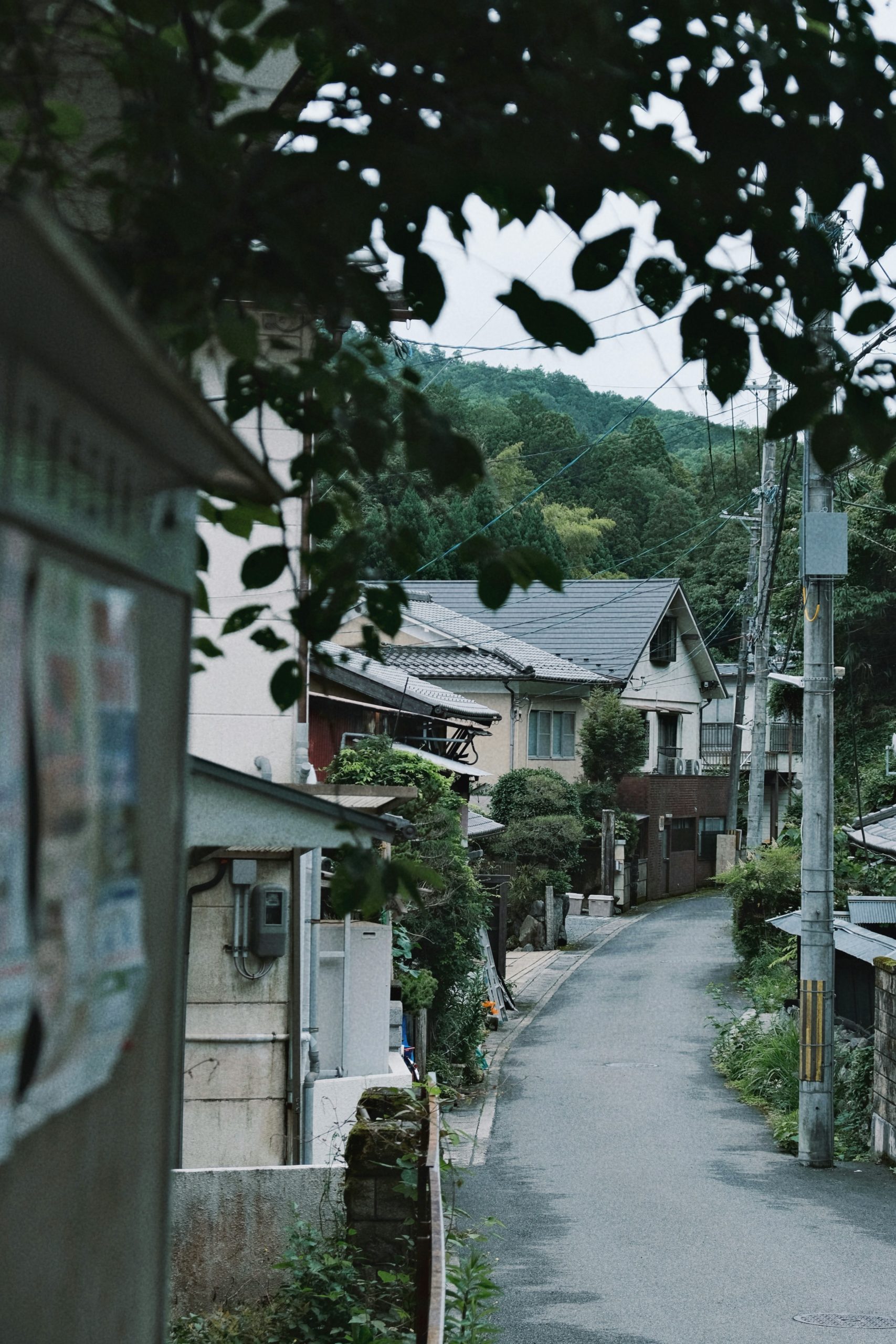 Traditional Japanese folding fan (sensu) with delicate artwork, an essential prop in nihon buyō dance performances for creating graceful movements and artistic expression