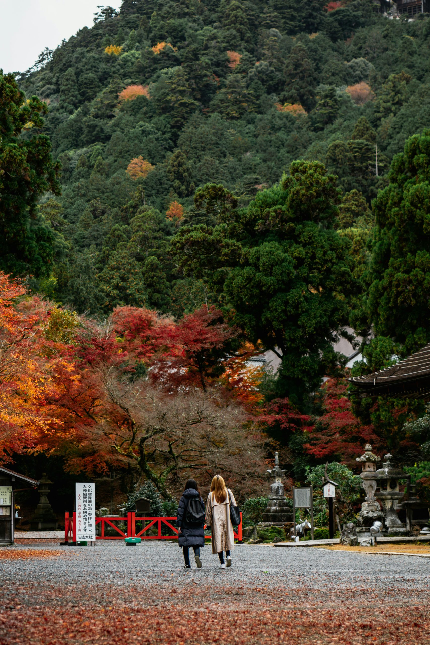 Japanese woman in traditional kimono during autumn season in Kyoto with beautiful red maple leaves, showcasing the perfect harmony between seasonal colors and traditional dress