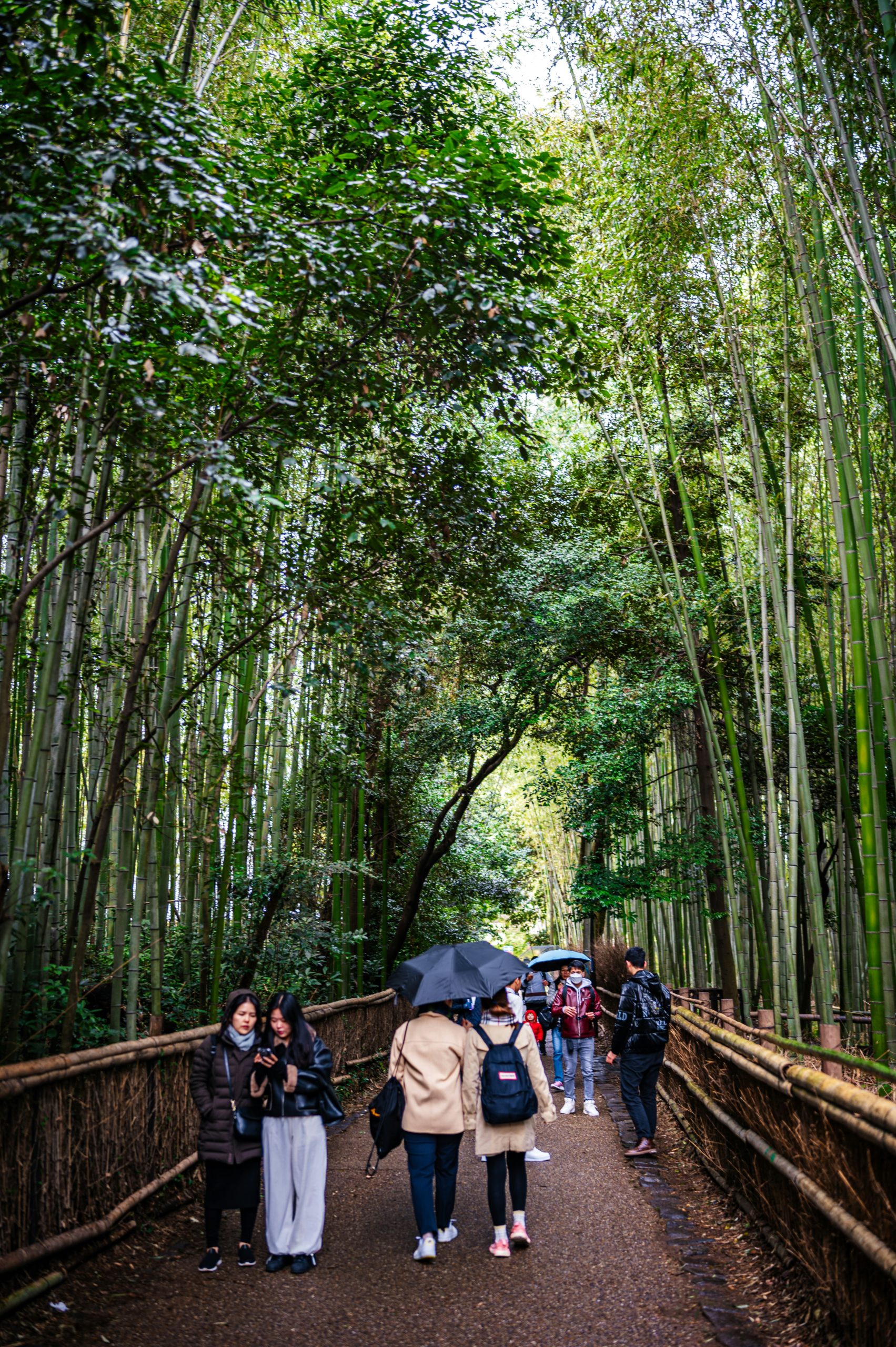 Elegant Japanese woman in traditional kimono posed gracefully among vibrant red maple leaves during autumn season in Kyoto showcasing the perfect harmony between traditional dress and seasonal beauty