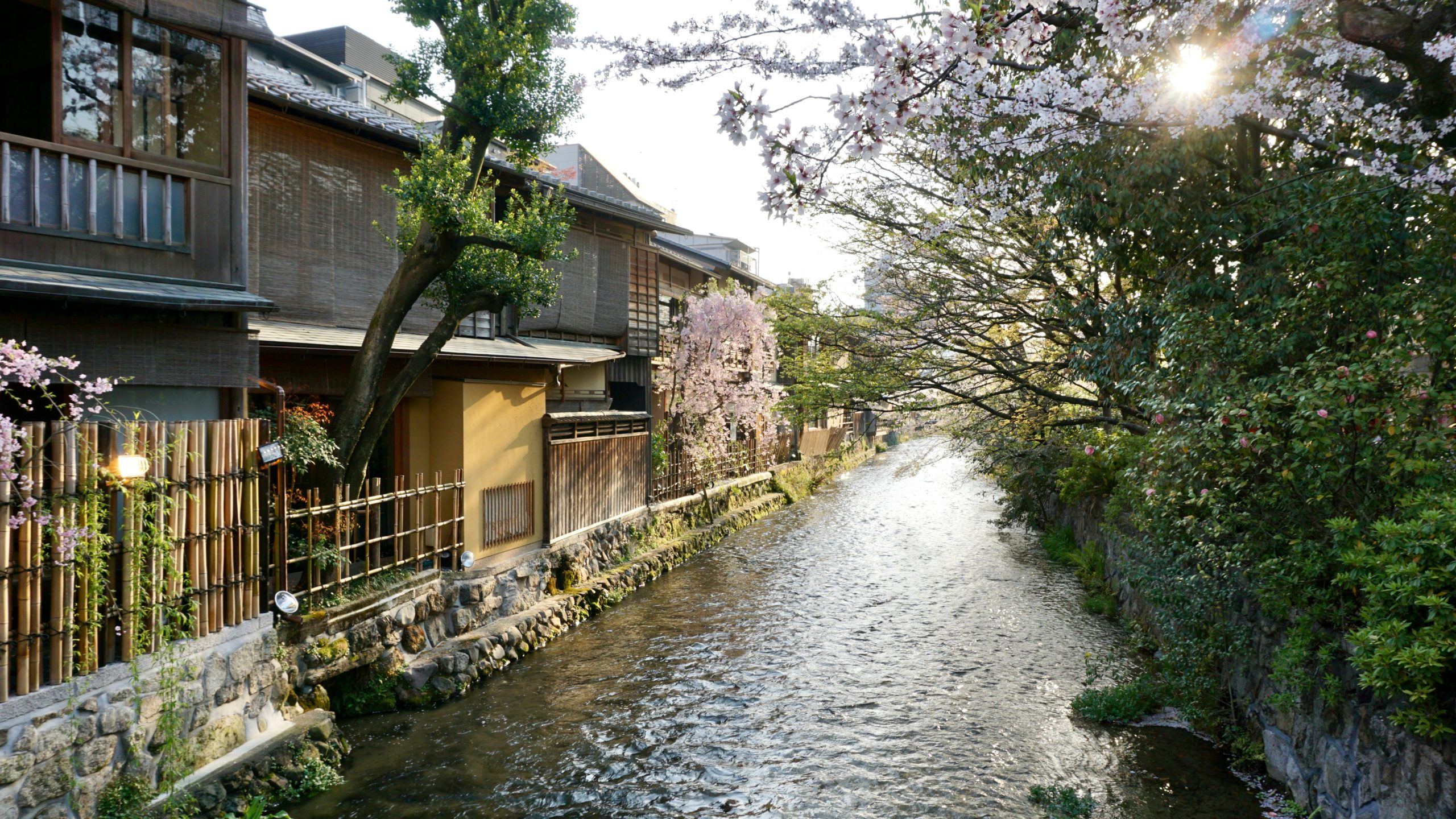 Traditional kawadoko riverside dining platforms over crystal clear stream in Kibune perfect summer dining experience during kimono photo tour