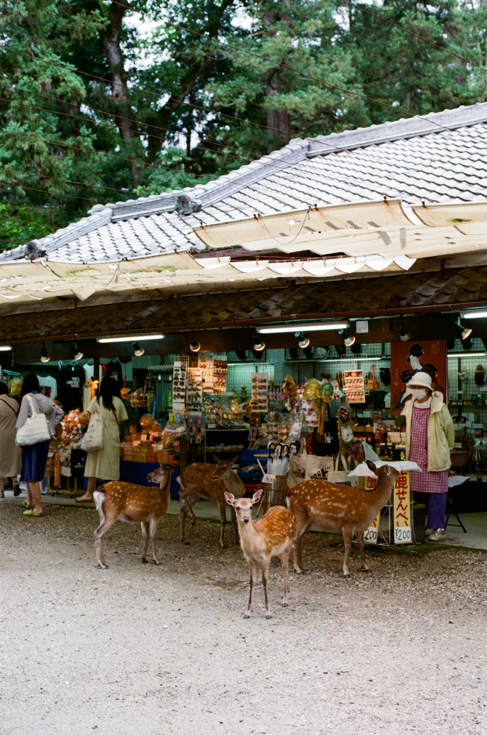 Tenjin-san flea market at Kitano Tenmangu Shrine with vendors selling antiques crafts and traditional Japanese items